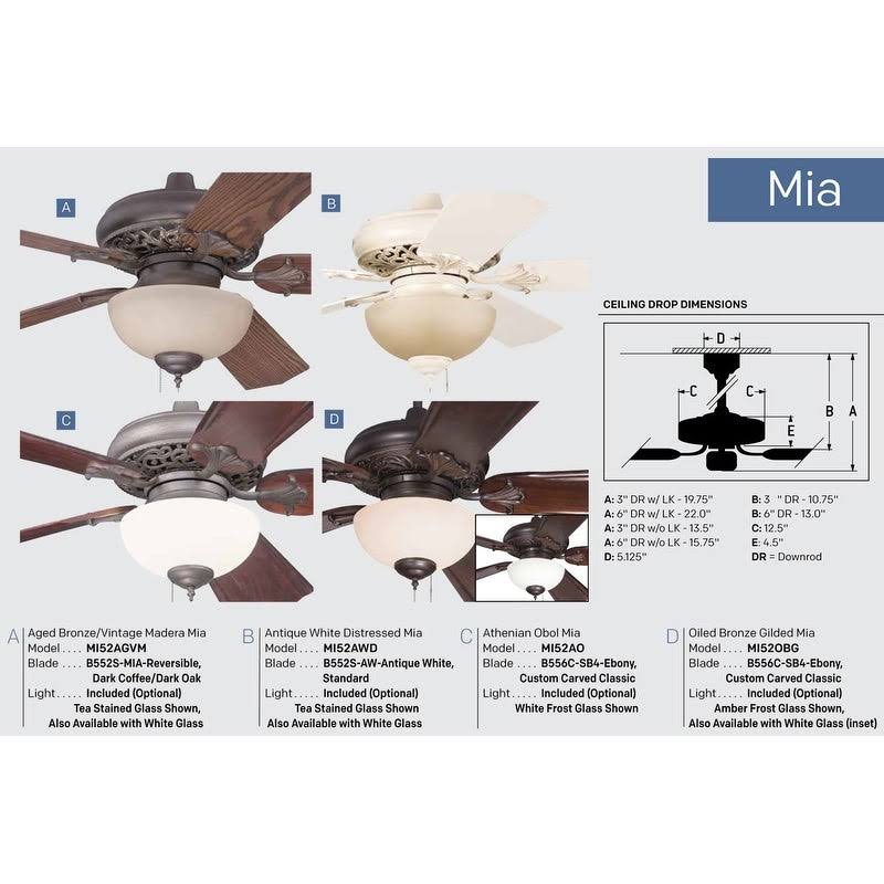 2 Light Ceiling Fan Z6238