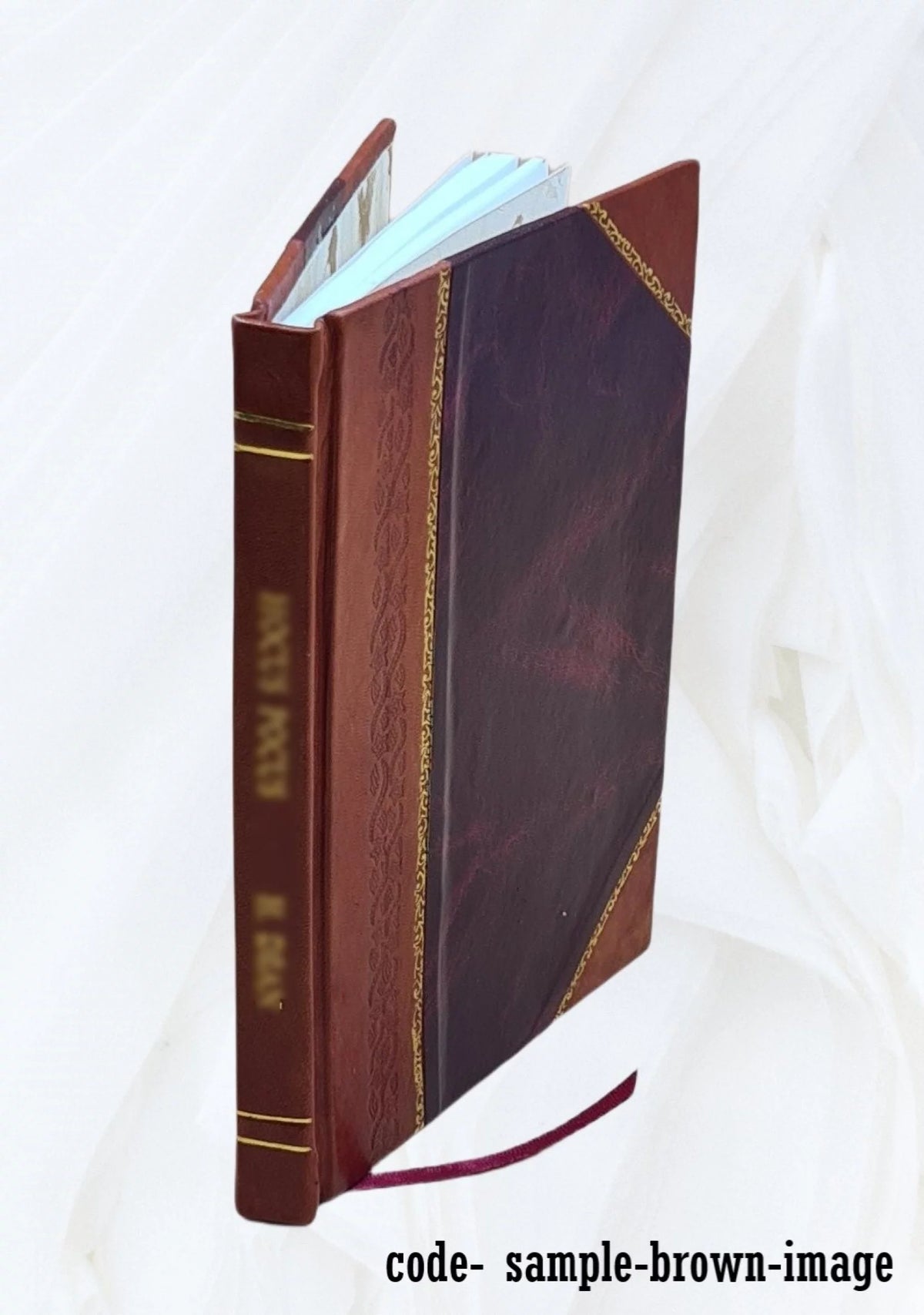 Leather Bound X7645