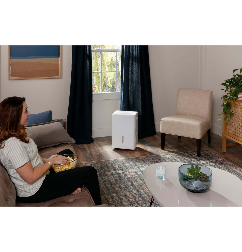 Portable Dehumidifier 35 Pint I2703
