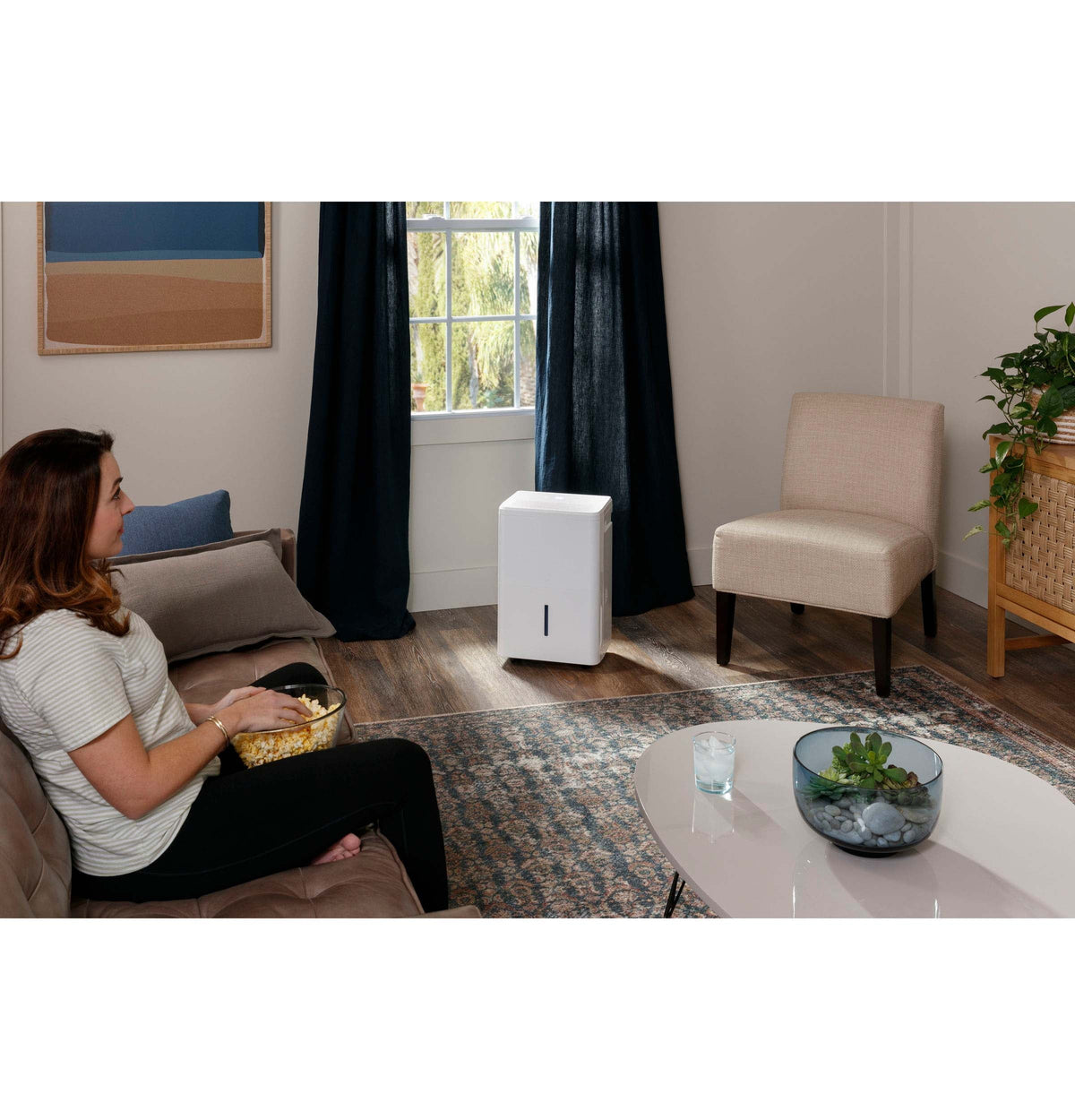 Portable Dehumidifier 35 Pint I2703