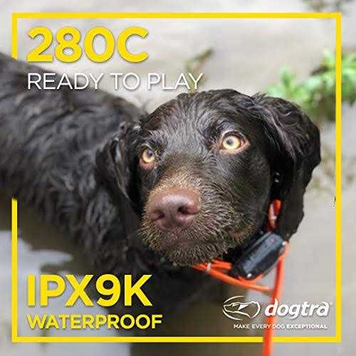 Dog Remote Training Collar A627
