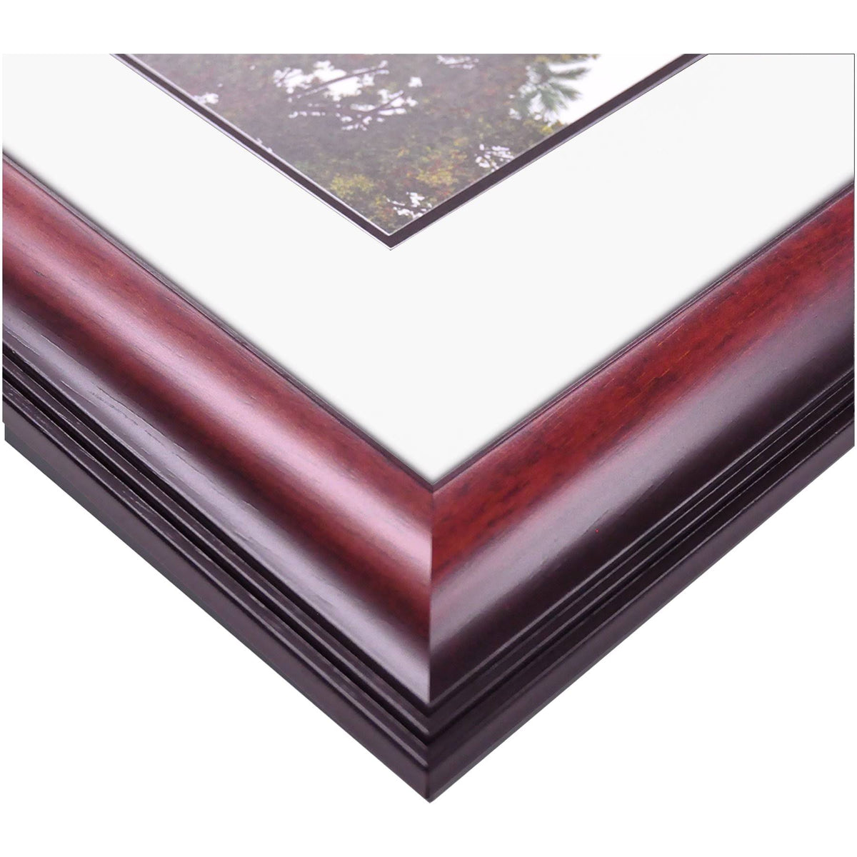 8.5x22 x 11x22 Diploma Frame Z90808
