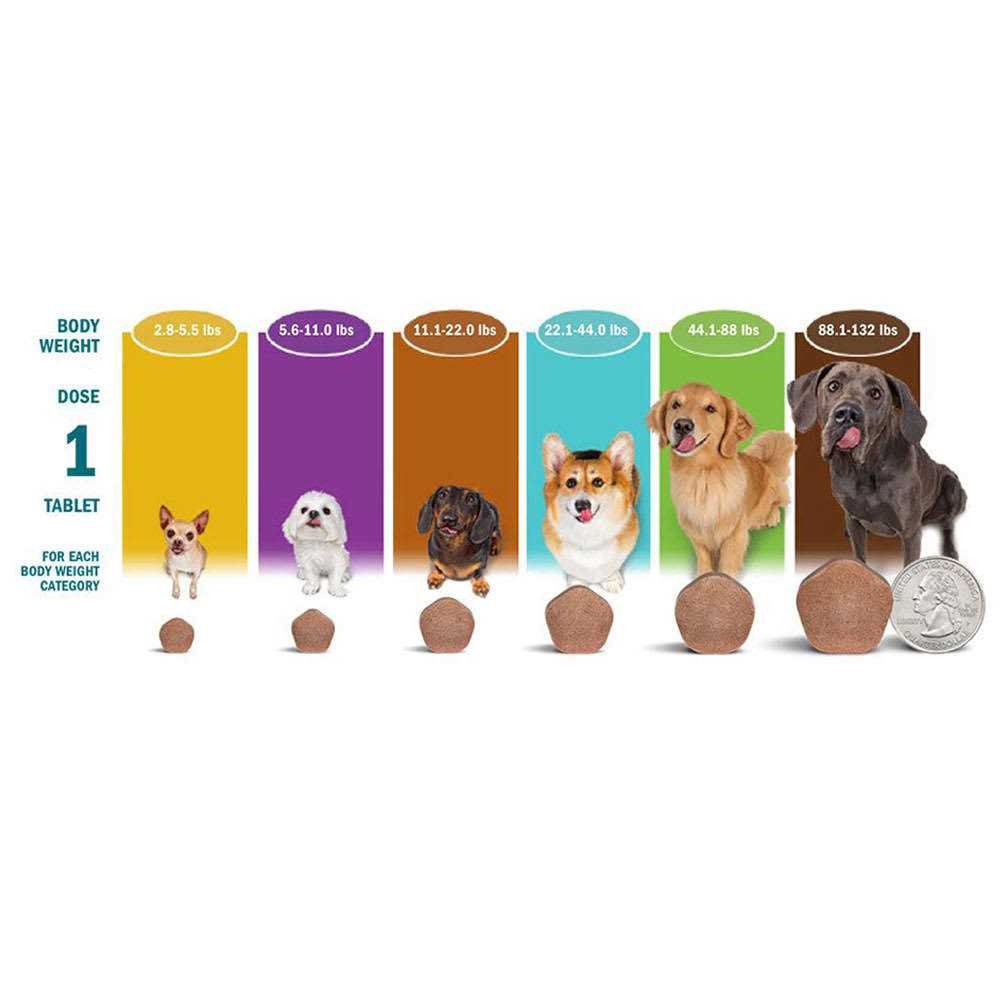 44.1-88 lbs. Dogs 6 Month Supply B737