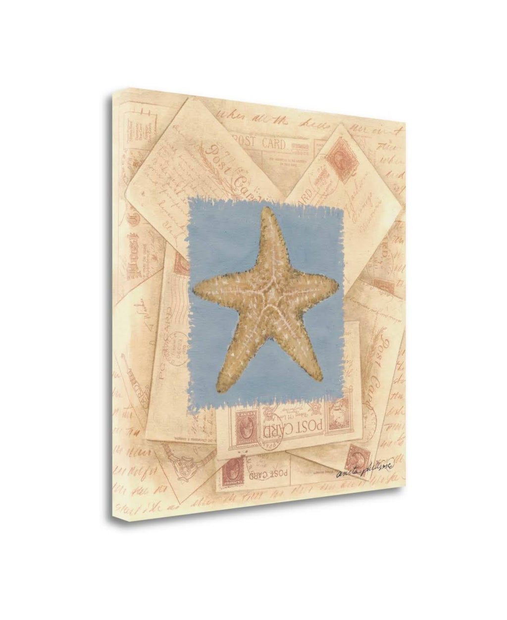 Starfish Postcard Giclee Print I39808