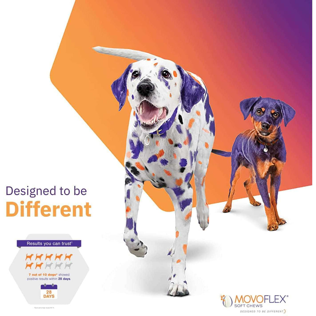 Joint Support Soft Chews for Dogs D44485