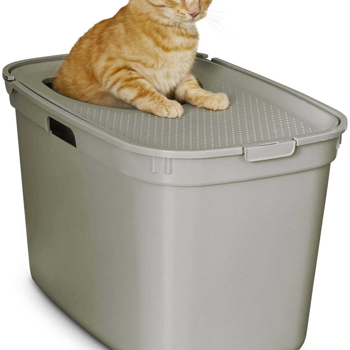 Top-Entry Litter Box U179948